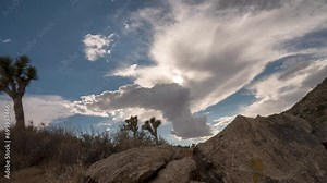members of the cactus family grow, main cholla, ocotillo and Joshua trees. The night sky is different when viewed from these separate locations. Enjoy