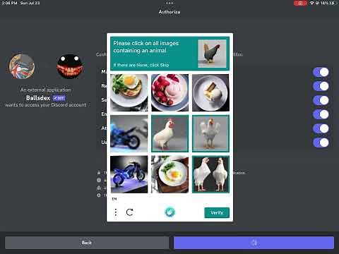 Ballsdex tutorial in discord #discord