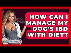 How Can I Manage My Dog's IBD With Diet? - Ask A Pet Vet