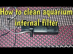 How to clean aquarium filter