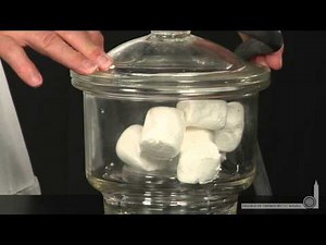 Marshmallow Vac Pump