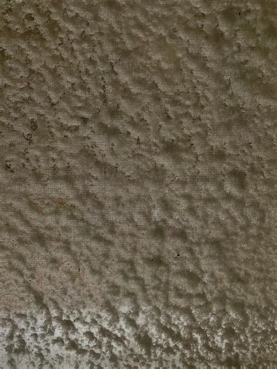 Dan Romer | looks amazing out 😳 wind has picked up in the last hour bedroom window screen is completely embedded meanwhile, out the studio window... | Instagram