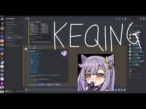 How to Use Keqing Bot