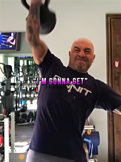 Joe Rogan's Hilarious Fight Proposal with Wesley Snipes