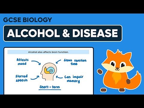 Effects of Alcohol on Disease - GCSE Biology