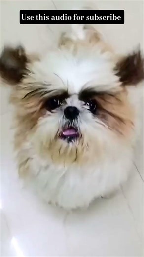 300 challenge for you