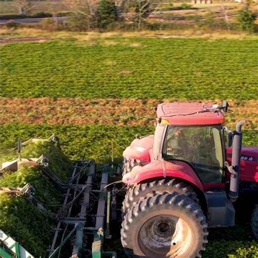 Here’s one from the vault. K & E Farms Digging Peanuts Eyes in the Sky #johndeere #casetractor #peanuts #dronephotography #dji | Sedrick Hicks