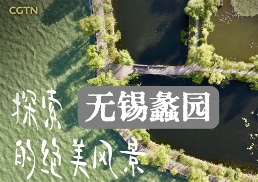 探索无锡蠡园的绝美风景