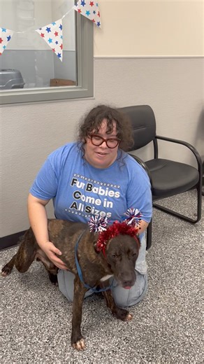 14K views · 537 reactions | A043802-Samwise | Fort Bend County Pets - Fort Bend County Animal Services | Facebook