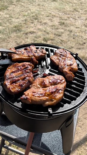 Grill Koteletter: Tips for Perfekte Grillmåltider