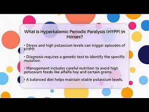 What Is Hyperkalemic Periodic Paralysis (HYPP) In Horses? - The Horses Stable