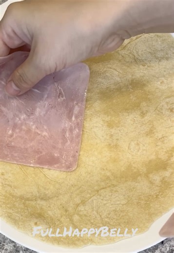 Delicious Ham and Cheese Wrap Recipe for Snacks