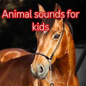 Amazing Animal Sounds Compilation | Cow, Dog, Goat, Horse & Cat for Kids 🐾✨