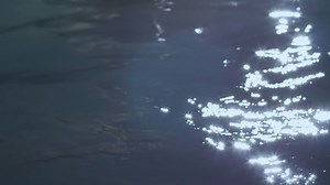 Water texture of a swimming pool waving - Free Stock Video