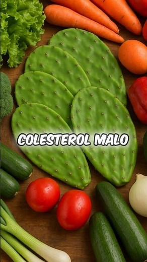 “Nopal beneficios y propiedades medicinales”