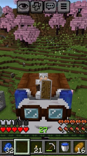 some cool minecraft screenshots