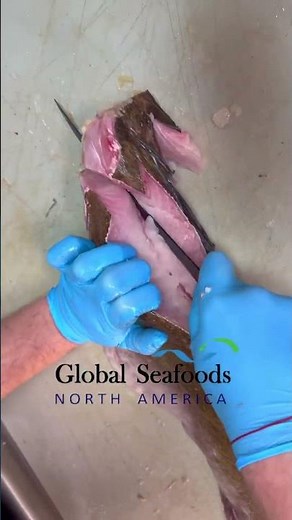 Lingcod Filleting Made Simple 🐟 | Clean Cuts Every Time