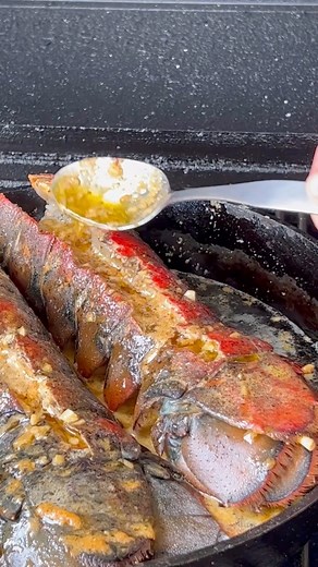 787K views · 12K reactions | Lobster Recipe | Grillnation | Facebook