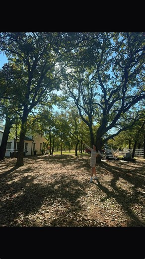 #fyp #ranchlife #horses 🐴 🫏 🌳