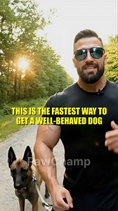 5.4K views · 26 reactions |  The one resource you will need to train your dog, solve problems, and have fun together  All the essentials in one place for you and your dog  Detailed instructions with clear illustrations  Easy-to-follow progress checker | 28 Day Dog Obedience Challenge | Facebook