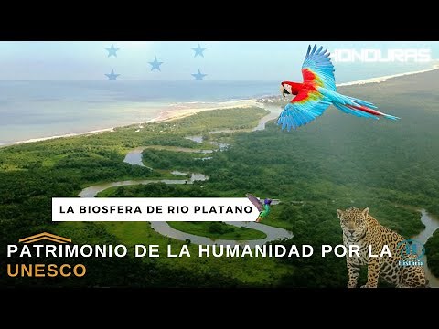 The Río Plátano Biosphere Reserve, a tropical paradise in Honduras