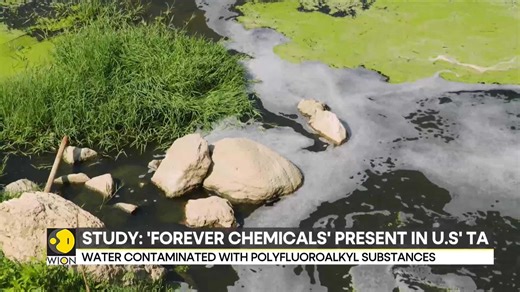 Nearly half of the tap water in the US is contaminated with ‘forever chemicals: Government study