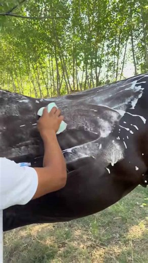 Refreshing Quick Asmr Shower Sounds