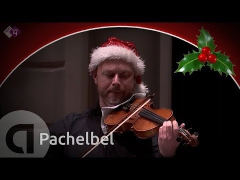 Pachelbel: Canon en Gigue in D - Combattimento - Live concert HD