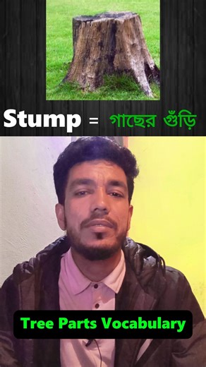 Tree Parts Vocabulary | Learn in 30 second 🌴#shorts #vocabulary