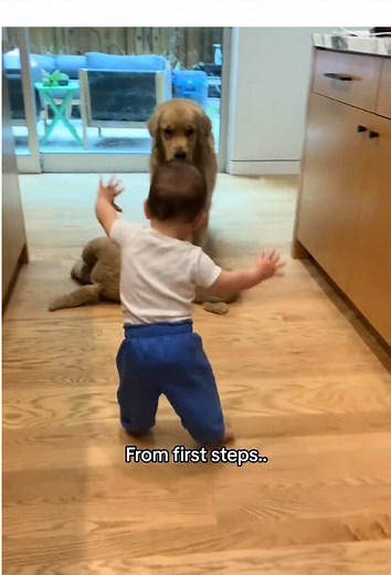 Heartwarming Moments: Children and Dogs Together