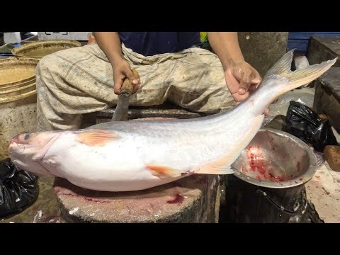 Pangasius Fish Cleaning & Cutting | Step by Step Full Guide