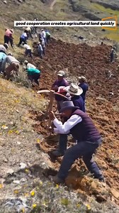 45K views · 275 reactions | cultivating barren land into agricultural land by working together | Coffee Farming | Facebook