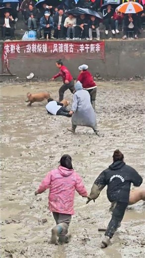 🤯 WILD PIG CHASE: You WON'T Believe the END!