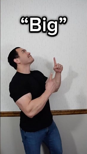 Learn ASL “Big” #asl #americansignlanguage #deaf #hardofhearing #education #english #learn #big