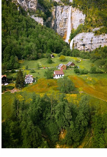 Transforming Scenery with Beautiful Trees