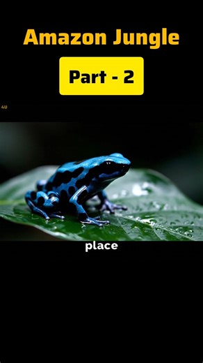 Amazon’s Deadliest Jungle – Barely Me 🥶 | Part - 2 #shorts #amazon #jungle #shorts #anaconda