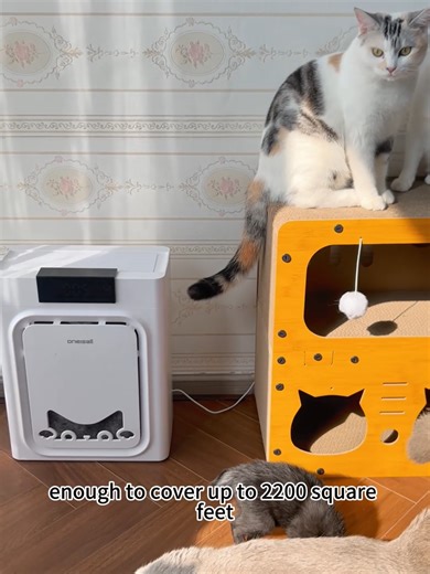 Effective Pet Hair Removal Using Air Purifiers