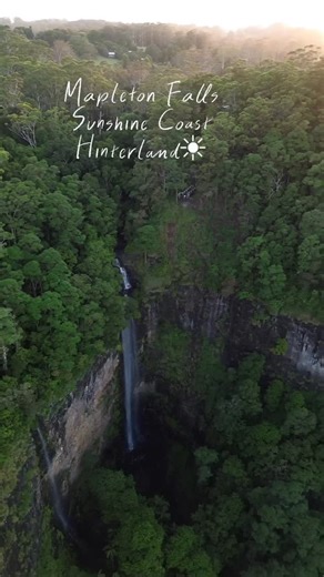 𝐴𝑛𝑔𝑒𝑙𝑎 🌹 on Instagram: "Mapleton Falls in the beautiful Sunshine Coast Hinterland are impressive and can be seen just a short walk from the parking area. For those seeking adventure, a trek to the base of the falls offers a unique viewpoint. . . . #sunshinecoast #visitqueensland #qld #waterfalls #hinterland #australia @sunshinecoasthinterland"
