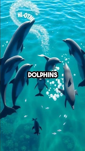 Dolphins Have Names? Their Unique Whistles Reveal Secrets! 🐬✨