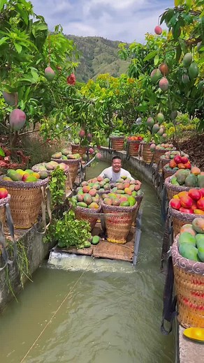 Exotic Fruit Garden in China: A Visual Delight
