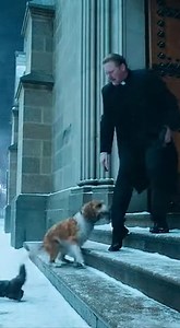 THEY SNEERED AT HIS TATTERED MILITARY JACKET AND KICKED HIS SHIVERING DOG OUT OF THE MULTI-MILLION DOLLAR SANCTUARY DURING THE WORST BLIZZARD IN CHICAGO HISTORY, CLAIMING THEIR 'HALLOWED GROUNDS' WERE STRICTLY FOR THE VIP DONORS, BUT WHEN THAT SCRUFFY PUP BROKE FREE AND SPRINTED STRAIGHT FOR THE ALTAR DURING THE TELEVISED SERMON, THE WEALTHY CONGREGATION WAS ABOUT TO LEARN A TERRIFYING LESSON ABOUT KARMA—BECAUSE THAT 'FILTHY STRAY' WASN'T CAUSING A SCENE, HE WAS THE ONLY ONE WHO SMELLED THE SILE