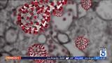 COVID-19 cases increasing across Los Angeles County, most of California