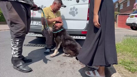 The Most Broken Dog We’ve Ever Rescued… Until Now