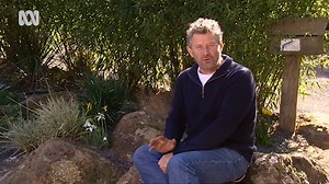 Snowdrops and Snowflakes - Gardening Australia