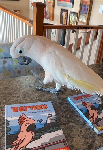 Discover the Barney Cockatoo Book on Amazon