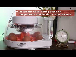EVERYGROW Egg Incubator for Hatching Eggs with Humidity Display