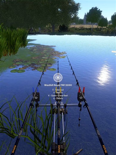 Trophy Tench Fishing on the Seversky Donets River