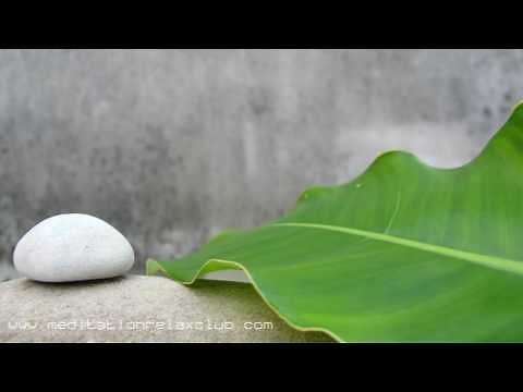 Zen Garden 8 HOURS Asian Spa Music Meditation with Instrumental Healing Spiritual New Age Sounds