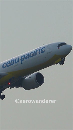 CEBU PACIFIC A330-900 takeoff at Manila Airport #shorts #aviation #a330 #manila #plane #takeoff
