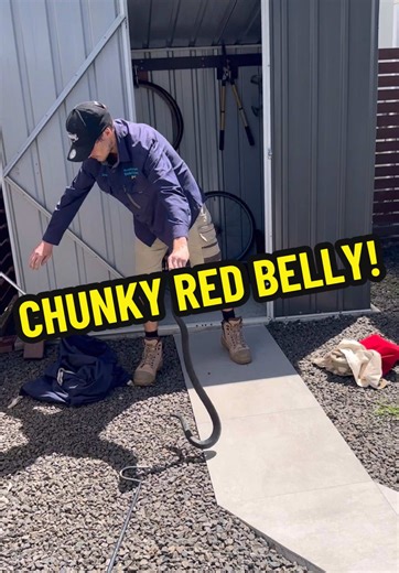 Stuart McKenzie on TikTok